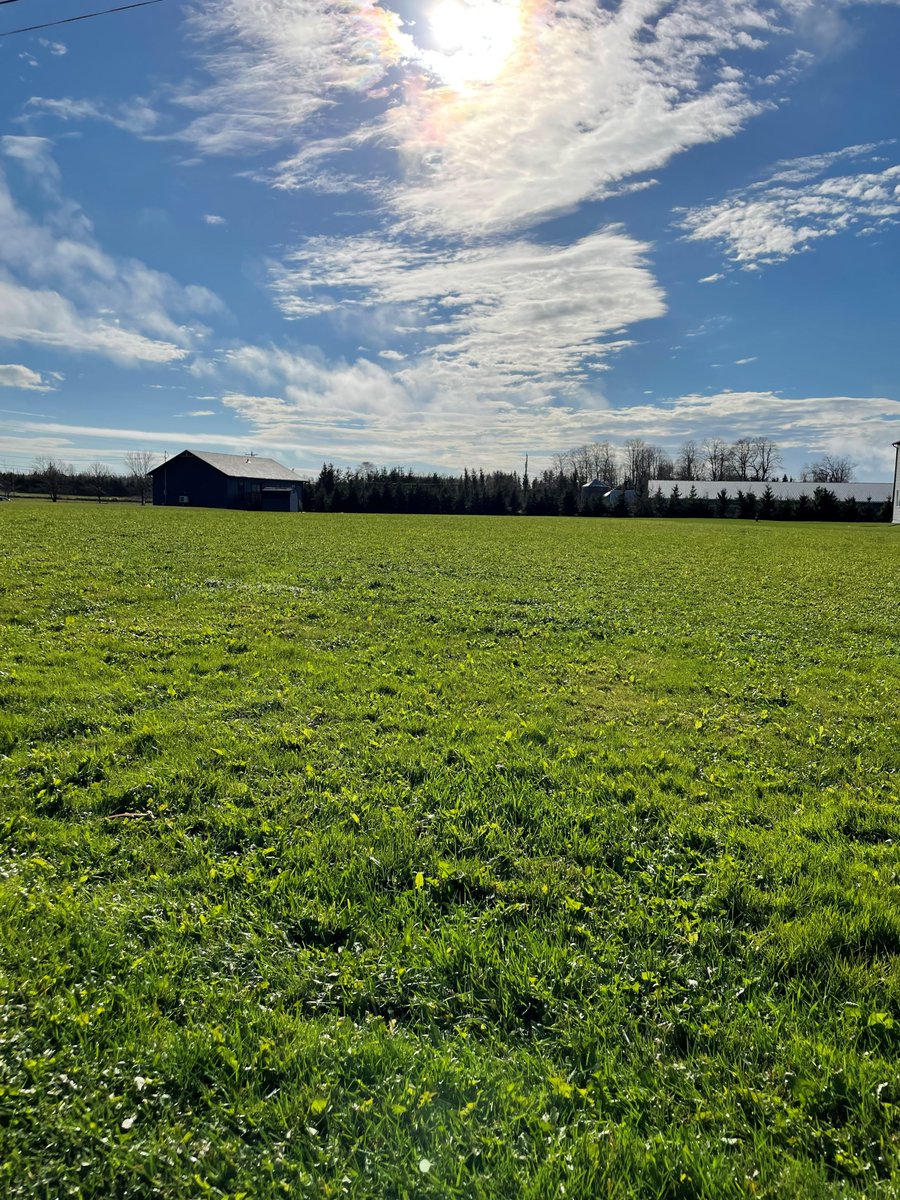 Prov_Realty's tweet image. ✨WATER VIEW LOT✨
📍Hertiage River Road, Mermaid
💲129,000 HST exempt
💻provincialrealty.ca/listings-list-…

📲For more information on this lot, contact Kellie Houston at 902-316-1826!

#lotforsale
#waterview
#peirealestate