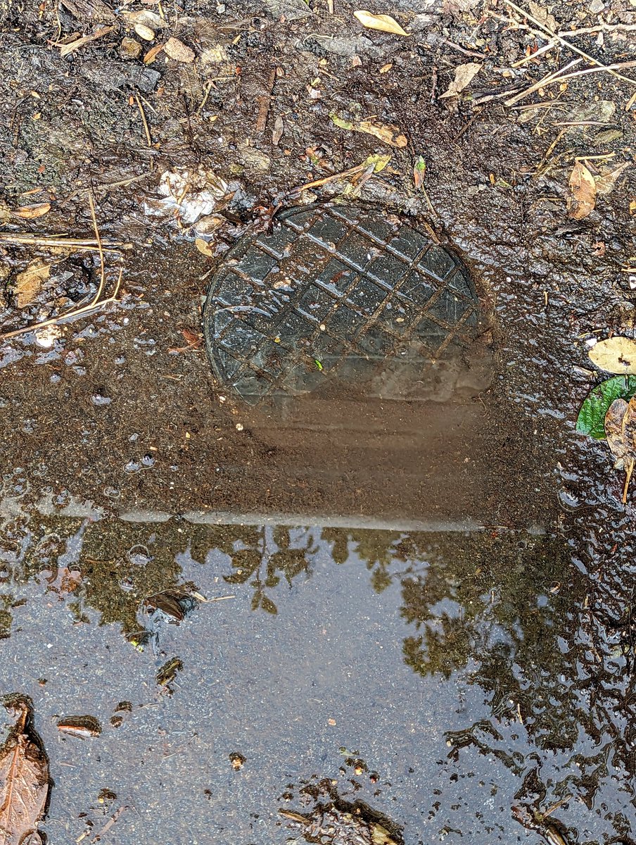 Dan_Gilbert's tweet photo. @SouthernWater leak on Preston Drove Brighton https://t.co/vXAFC7V5zH