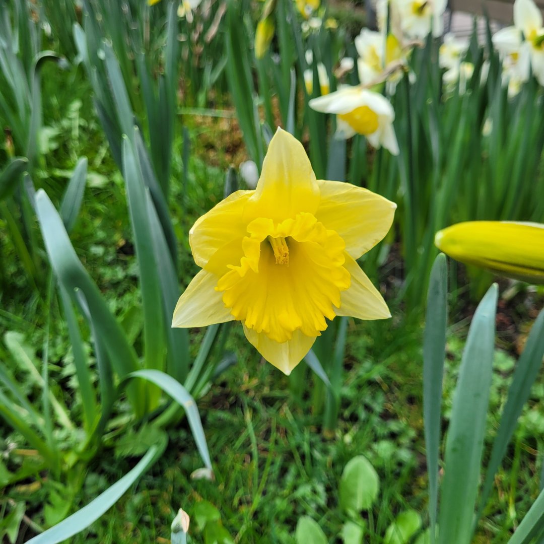 The Hunt Museum tweet media