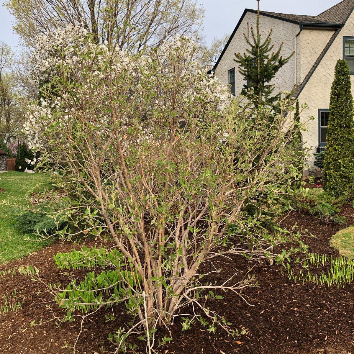 Blue Thumb tweet media