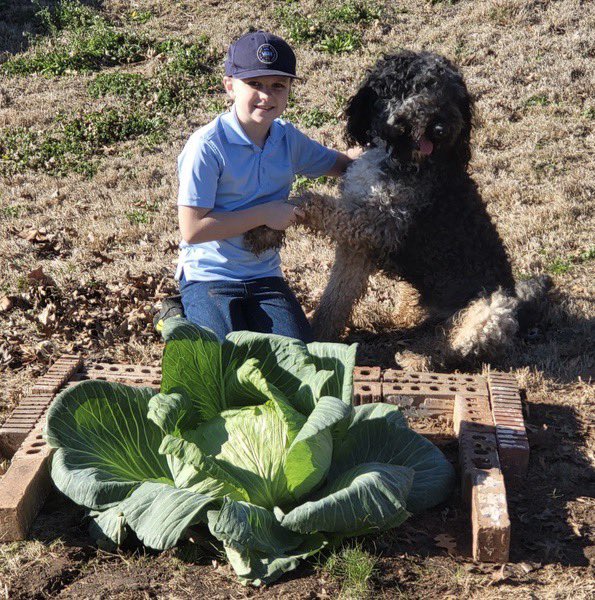 One of my students is entering his 13.2 pound cabbage into the Bonnie Cabbage Program for a chance to win a $1000 scholarship. So proud of him! <a href="/granburyisd/">Granbury ISD</a> <a href="/mambrinosteam/">STEAM Academy at Mambrino</a>