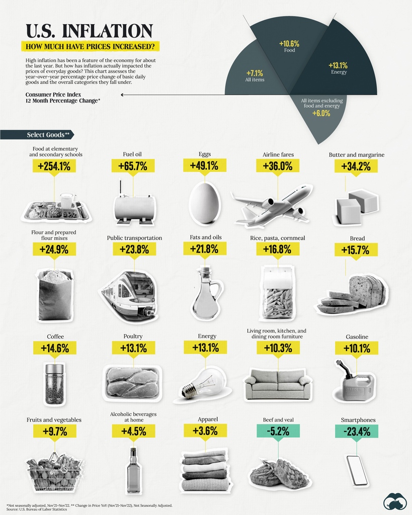 VisualCap's tweet image. U.S. Inflation: How Much Have Prices Increased? 📈🤔

visualcapitalist.com/us-inflation-h…