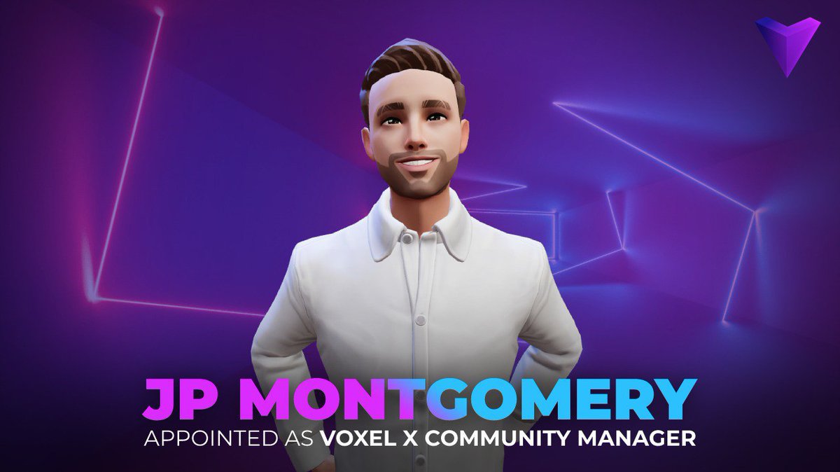 Voxel X Network tweet media