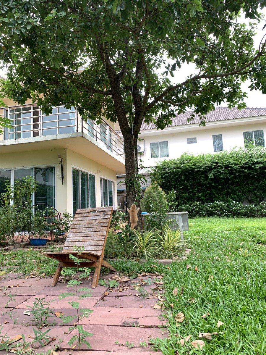 เปิดรูปให้เพื่อนดู เพื่อนถาม ทำไมกระรอกบ้านมึงตัวใหญ่จัง