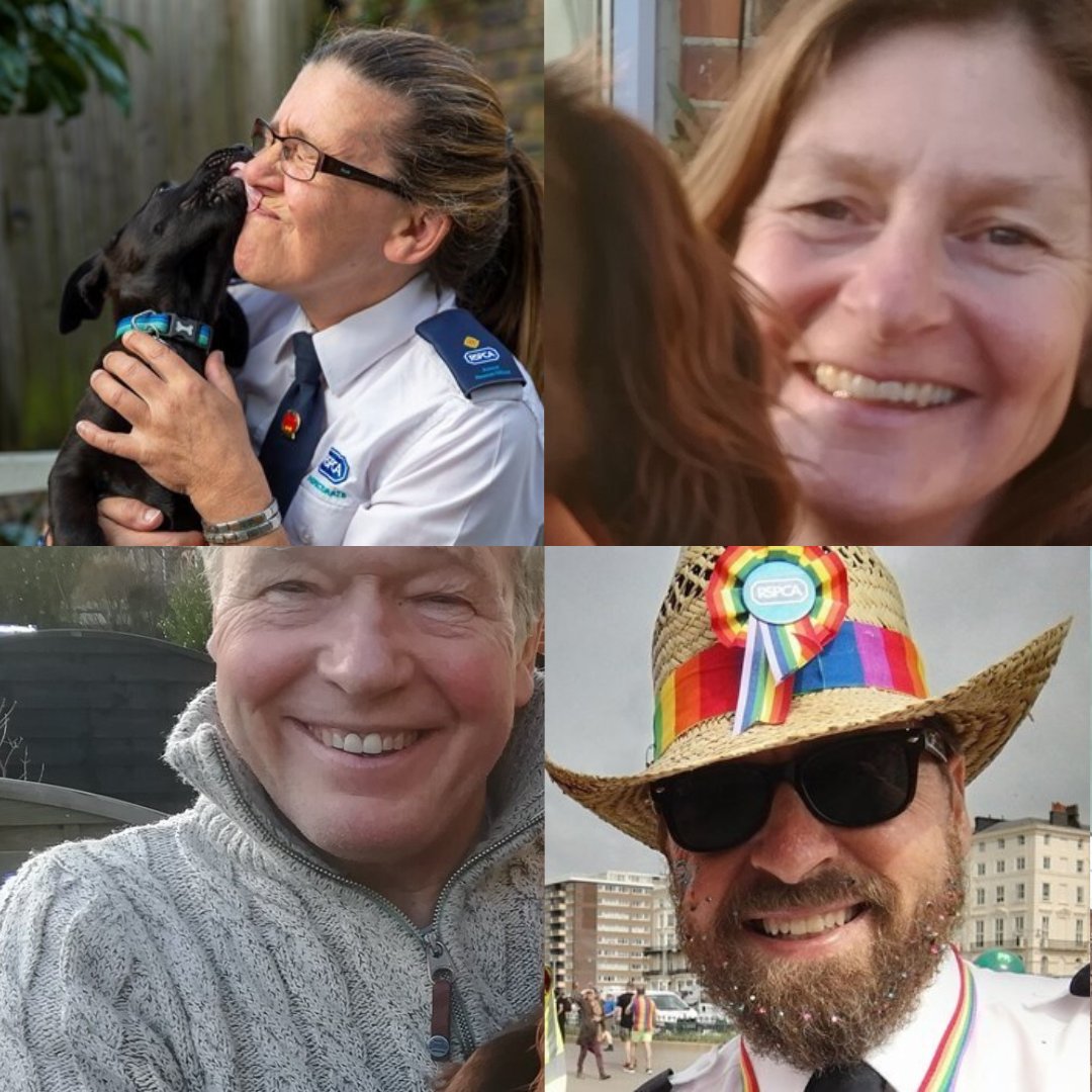 Already thinking of the weekend? These 4 certainly are as next weekend (11th) they will abseil 450ft down Brighton's iconic i360 to raise funds for our Emergency Roof Appeal. Tony, Steven, Tess and Julie - you are amazing! rspcabrighton.enthuse.com/cf/abseil-i360