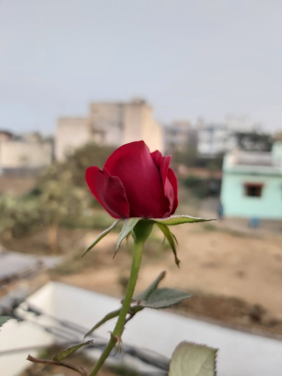 j2_vimal's tweet photo. कर लिया हर फ़क़ीर ने तौबा हमसे
नहीं उतरा तेरे इश्क़ का फितूर हमसे.... https://t.co/g4ZitRetpH