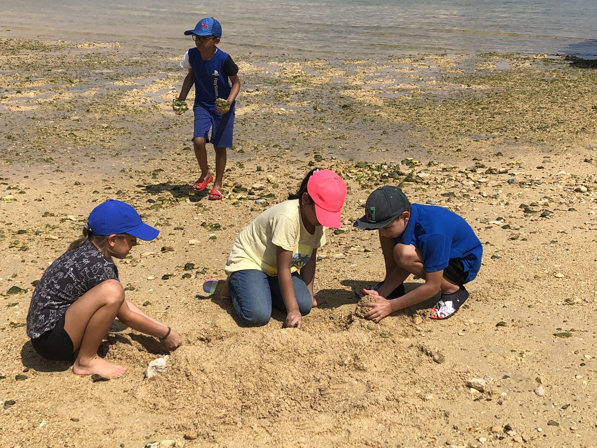 BSM Year 4 tweet media