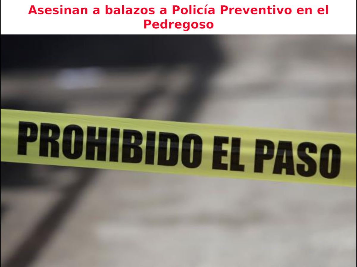 Asesinan a balazos a Policía Preventivo en el Pedregoso

Informacion con fotografias: bit.ly/3YuqXwR