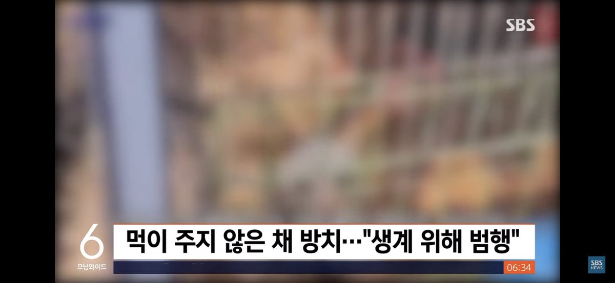 🎗바르게살볶음밥 tweet media