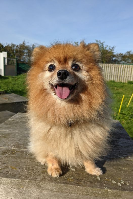 Freshfields tweet media