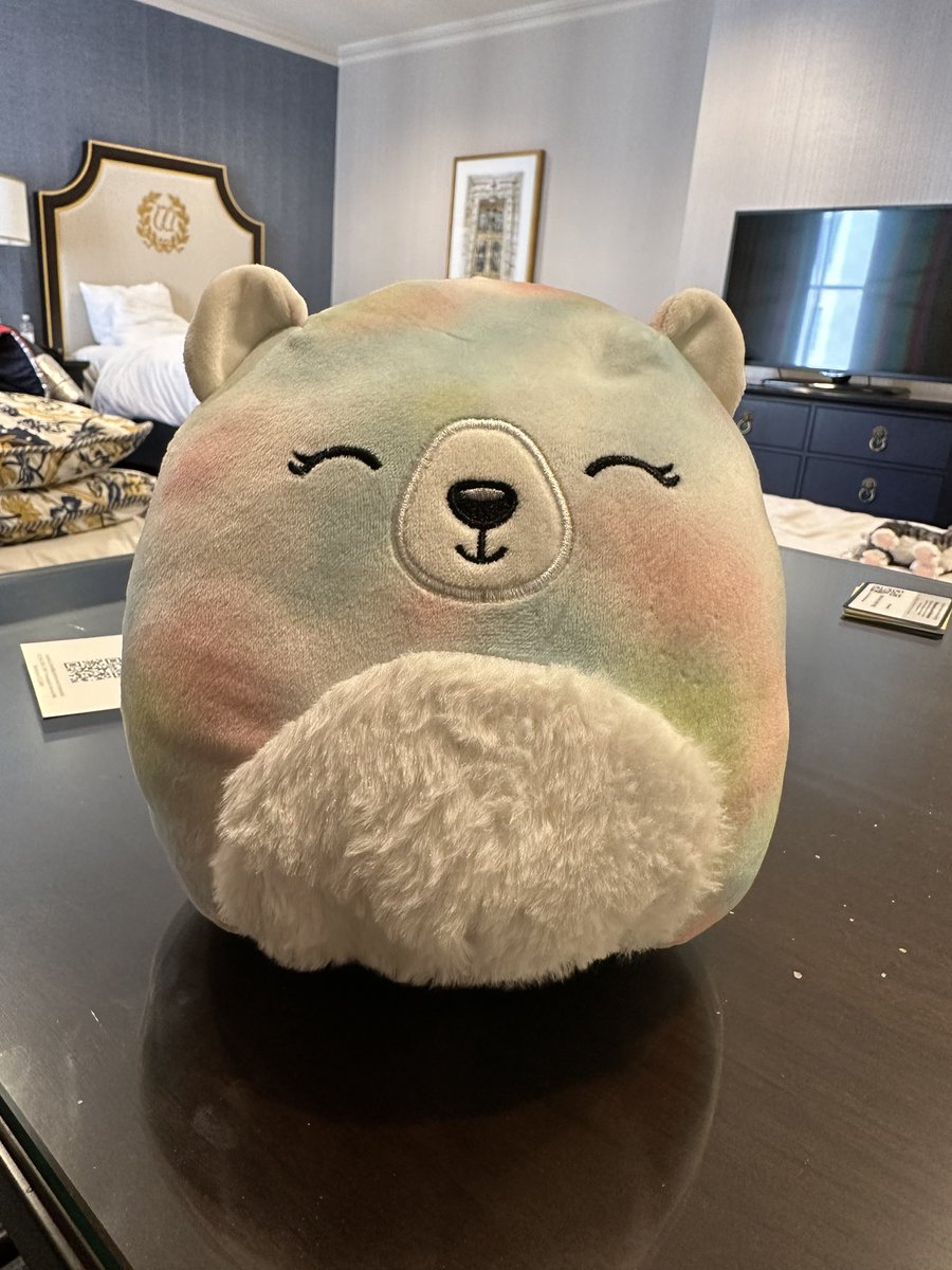 Hey <a href="/squishmallows/">Squishmallows</a> - my daughter wants to know what her name is. Thanks! 😊