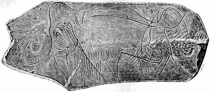 Edouard Lartet’s 1864 discovery of this mammoth engraved on a mammoth tusk at La Madeleine in France provided clear evidence that humans had lived there alongside extinct ice age animals