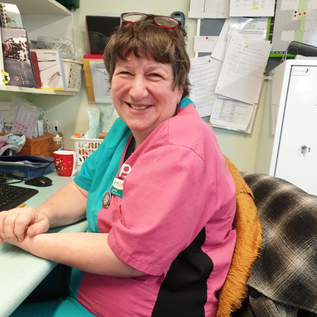 PDSA on Twitter "After 38 incredible years, PDSA Head Nurse Julie