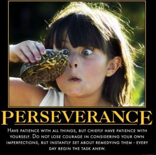 LaPorte_SEL's tweet image. Have patience with all things, but chiefly have patience with yourself. @Lpisd #perseverance #LPstrong