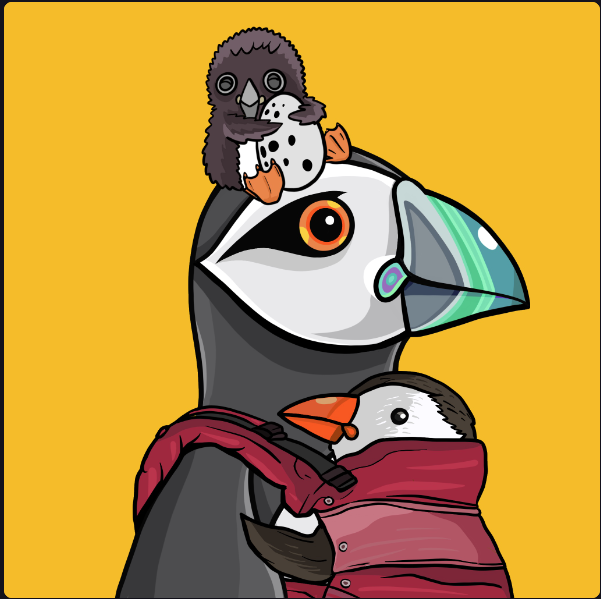 O' Guardian Puffins tweet media