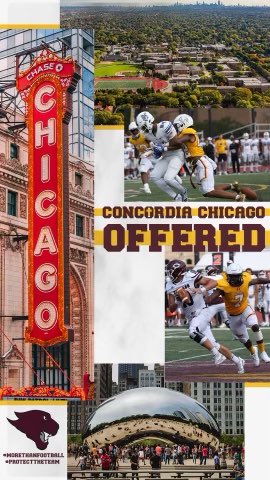 Wyatt Thistle tweet media