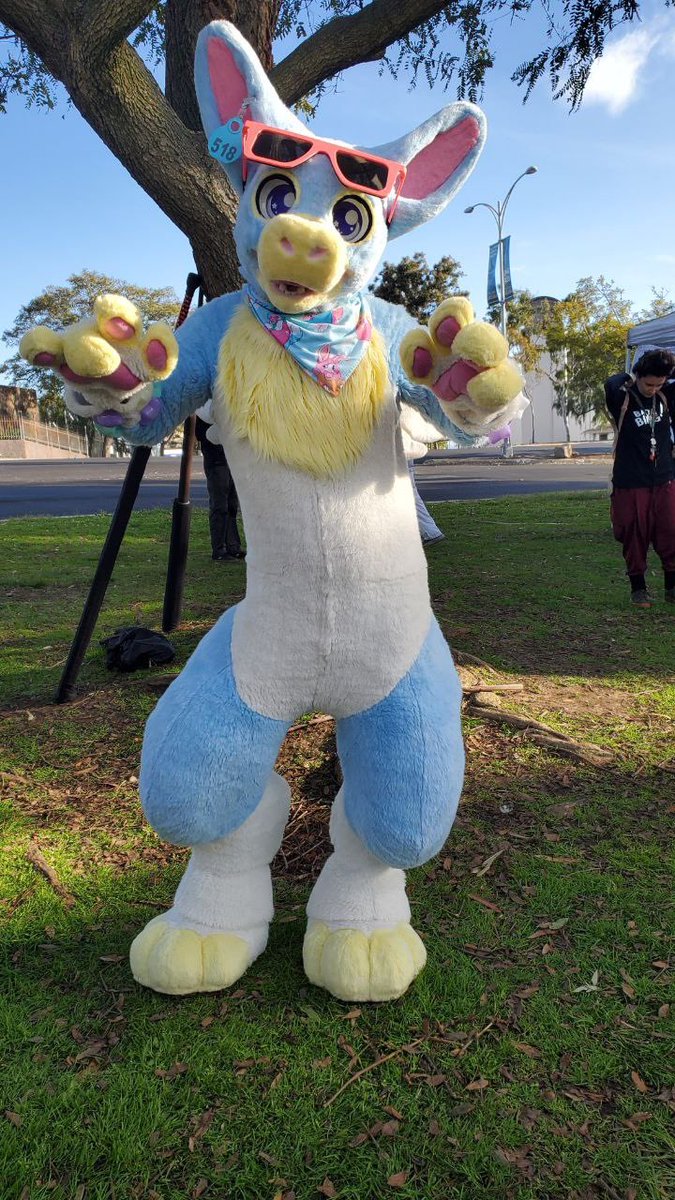 SofBeak's tweet photo. Another day in the park with #SDFurs !!
πΈ:@OrvanRabbit https://t.co/qqpW7nf3Rl