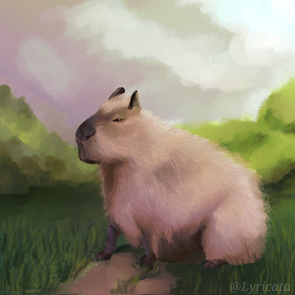 lyricata's tweet photo. Capybara 

#art #digitalart #Capybara https://t.co/tGihScWUF6