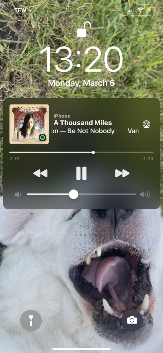 sawyersalter's tweet photo. banger https://t.co/mkMloAYupd