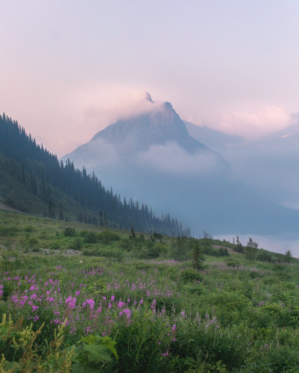 glacier national park