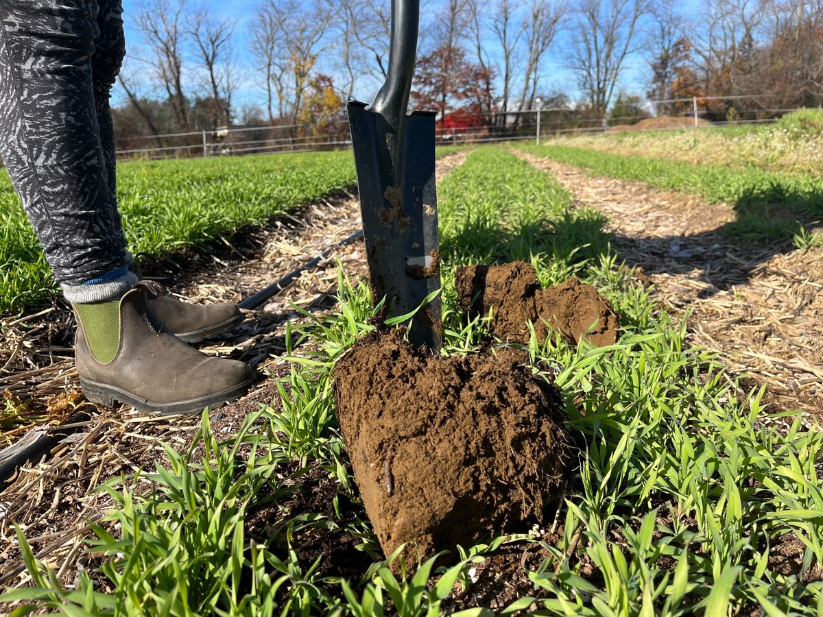Maine Farmland Trust tweet media