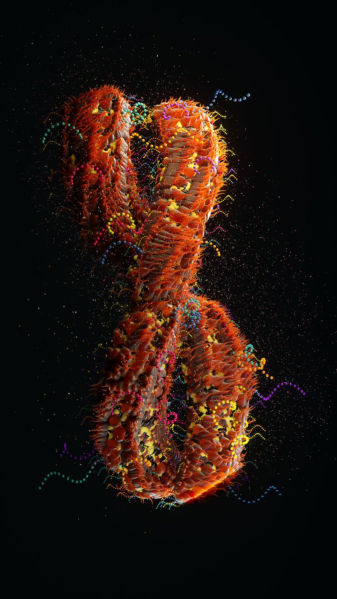 CesarePerniola's tweet photo. [23-03-06] - Strepettococco Virus
Download free C4D (Octane) Project File here: https://t.co/Uq1vTpbgo7
.
.
.
#studioxs #cesareperniola #virus #red #neon #bacteria #microscope #octanerender #cinema4d #C4D #worldcreator #mdcommunity #mgcollective #c4dart #3dart #digitalart https://t.co/HfVPXJE0mh