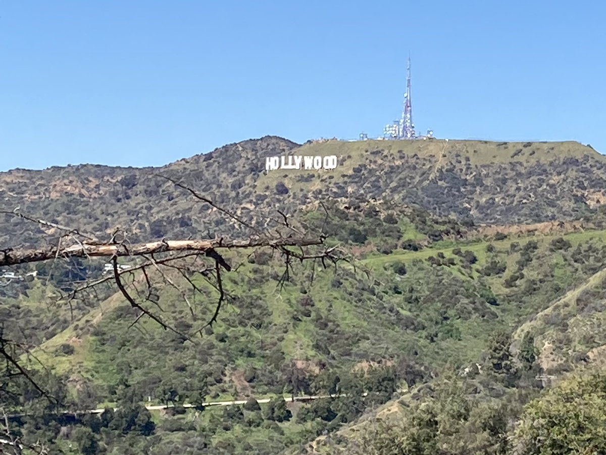 Deborah Edwards tweet media