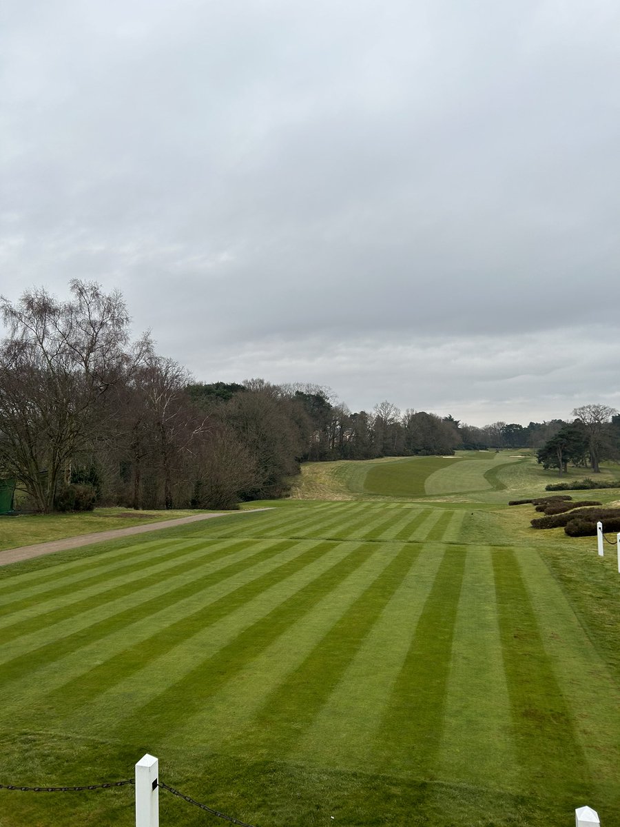 Christian Foreman tweet media