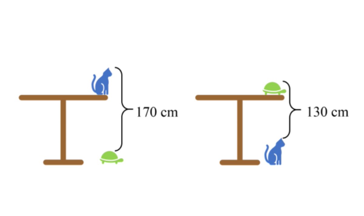 Alexis Kauffmann tweet media