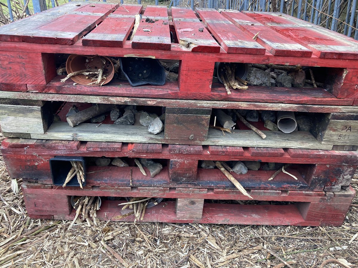 ThornhillPS's tweet photo. In nature club today we went on a bug hunt! We found millipedes, woodlice, worms, slugs, snails, spiders and worms and then created a bug hotel for the school to enjoy so that they can study insects too! @year2tps @EcoSchoolsWales #TPSoutdoorlearning https://t.co/isoLmJYt7z
