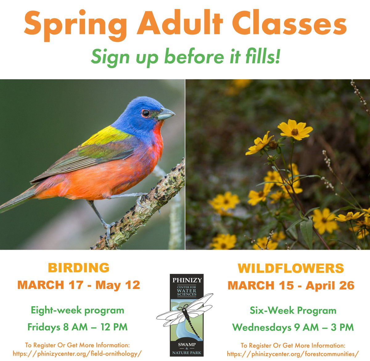 Whether you love birds or wildflowers we have a class for you! Check out our Spring classes on Birding and Wildflowers.
phinizycenter.org/lifelonglearni…