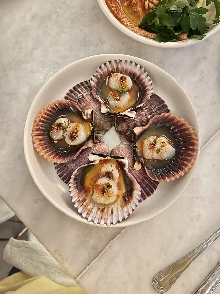 Ben Hundreds tweet media