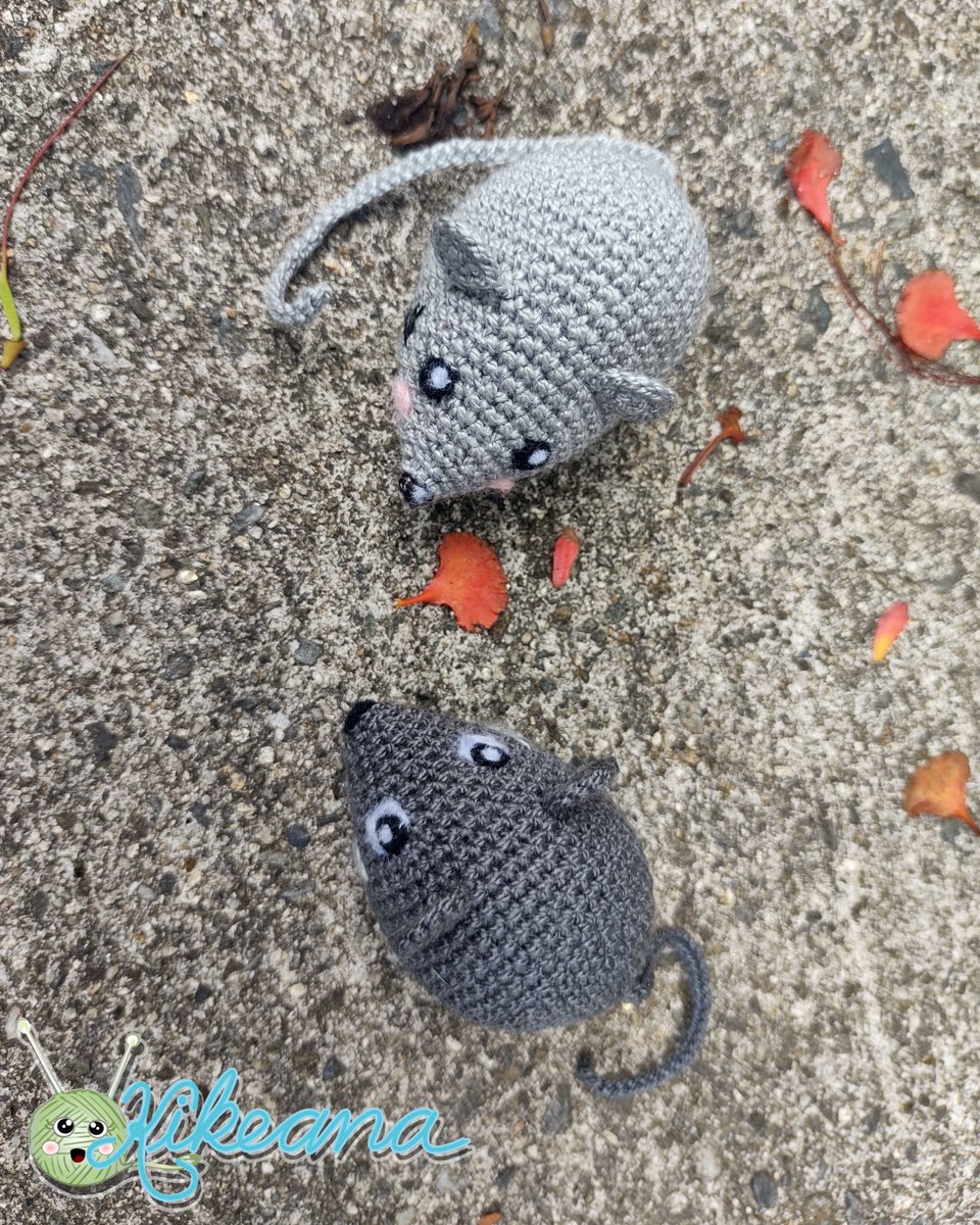Dos ratoncitos muy tiernos, inquietos y aventureros 🐁❤️, les gusta mucho el queso 🧀 y salir a pasear a bosques con sus personas favoritas. 🏞️

#kikeana #crochet #amigurumi #ratonamigurumi #regalospersonalizados #hechoconamor