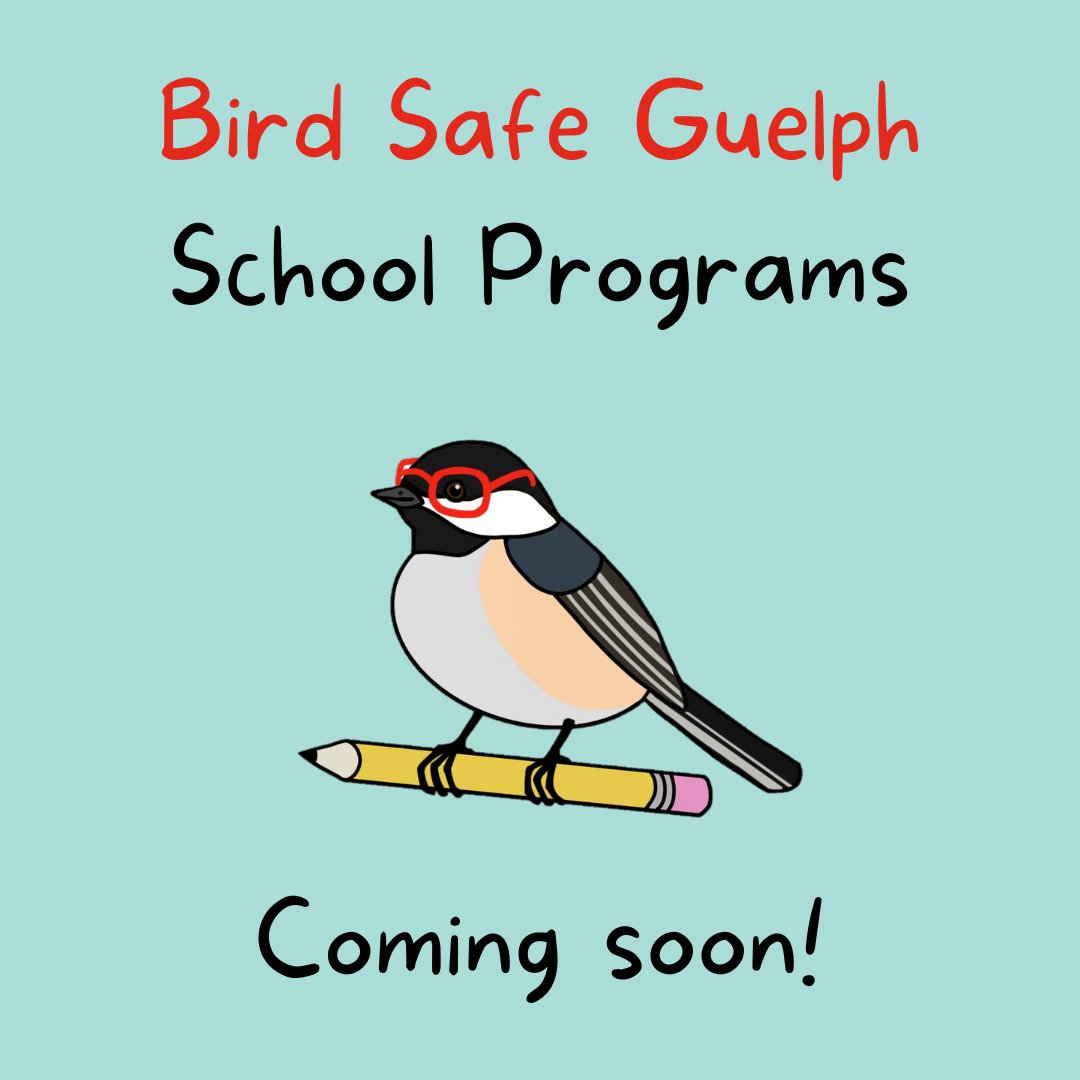 Hey #guelphteachers! We are launching our Bird Safe Guelph School Programs at the end of March, just in time for #birdday! 

Stay tuned for more information and how to register your class!