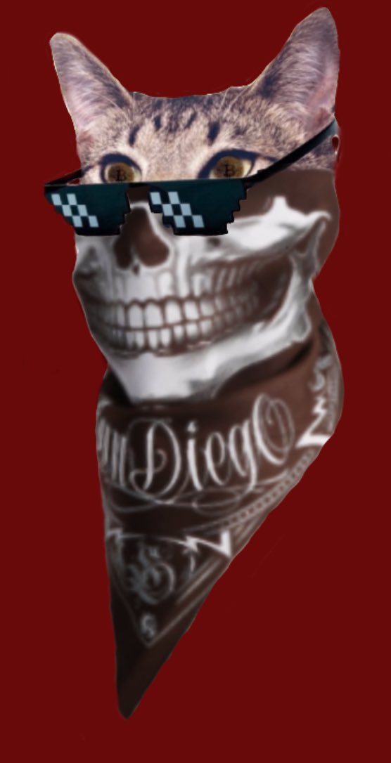 CATOSHISYNDICAT's tweet image. I don’t meet —‘s/ I meat —-‘s in a rental it’s a wrap/at steak/pop up pot luck/paper plates. Peezy came on son said/“dad that’s you”/naw that’s just another greezy - — /been through some - -  shit too…. #BARSISBACK