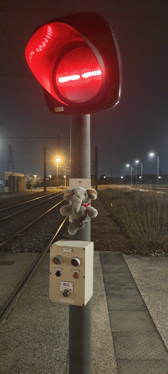 InfoTramLyon's tweet photo. Rare image d'un doudou qui s'est pendu à un signal 😢 Pauvre petit n'éléphant, j'espère que ton propriétaire n'est pas trop malheureux. #SOSdoudou https://t.co/Vg1JmqSNbx