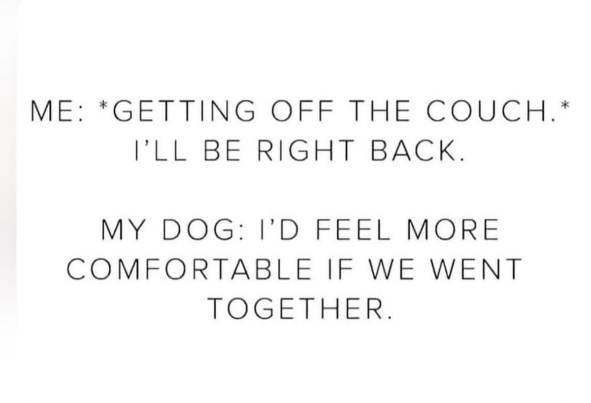 ChowchowSimba's tweet photo. “You got a friend in me” 🐾💙 https://t.co/BNdyZTmCcy
