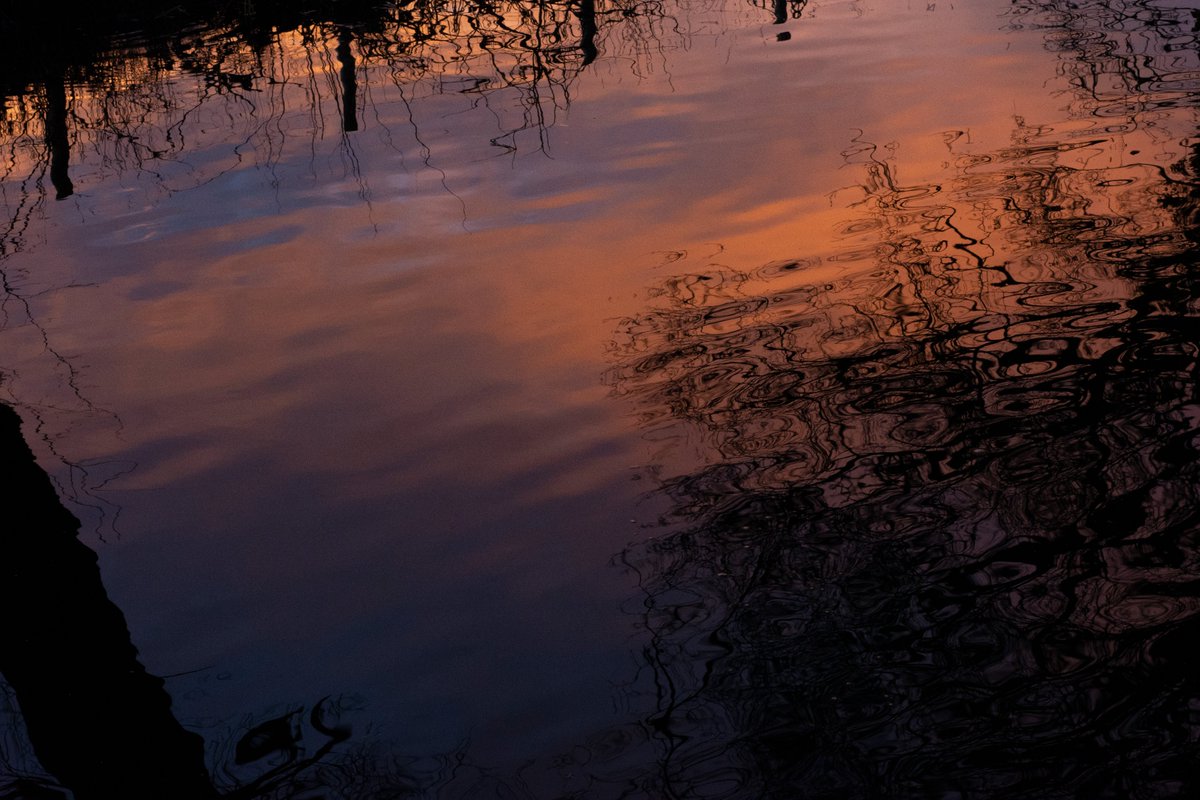 Sundown spiral.

#powys #wales #cymru #beauty #landscape #photography #18mm #18mmphotography #rural #overlookedbeauty #ruralbritain #canal #montycanal #mundaneaesthetic #banal #britishlandscape #sunset #devoidofpeople #noicemag #nowhereplaces #nature #winter #wintercolours