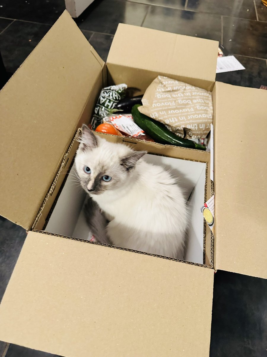An unexpected ingredient today in the <a href="/goustocooking/">Gousto</a> box 😄#CatsOfTwitter