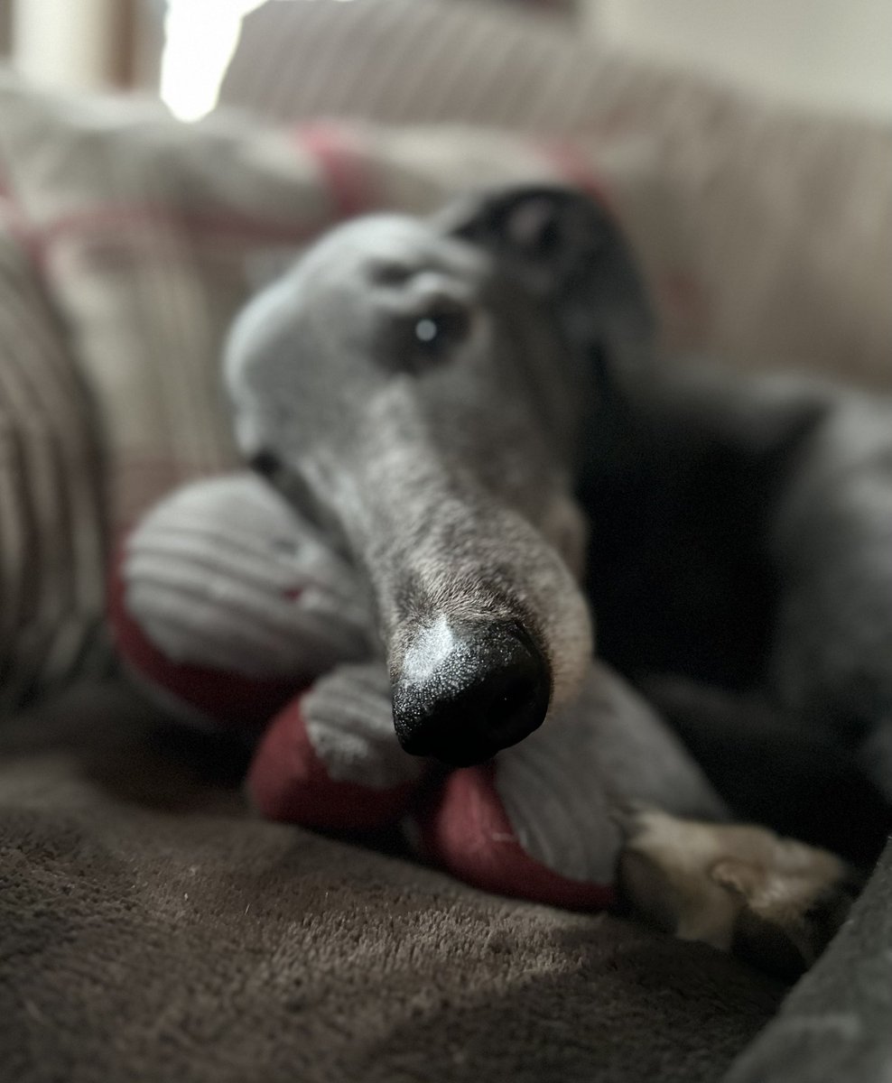 Fergal O'Brien Racing tweet media