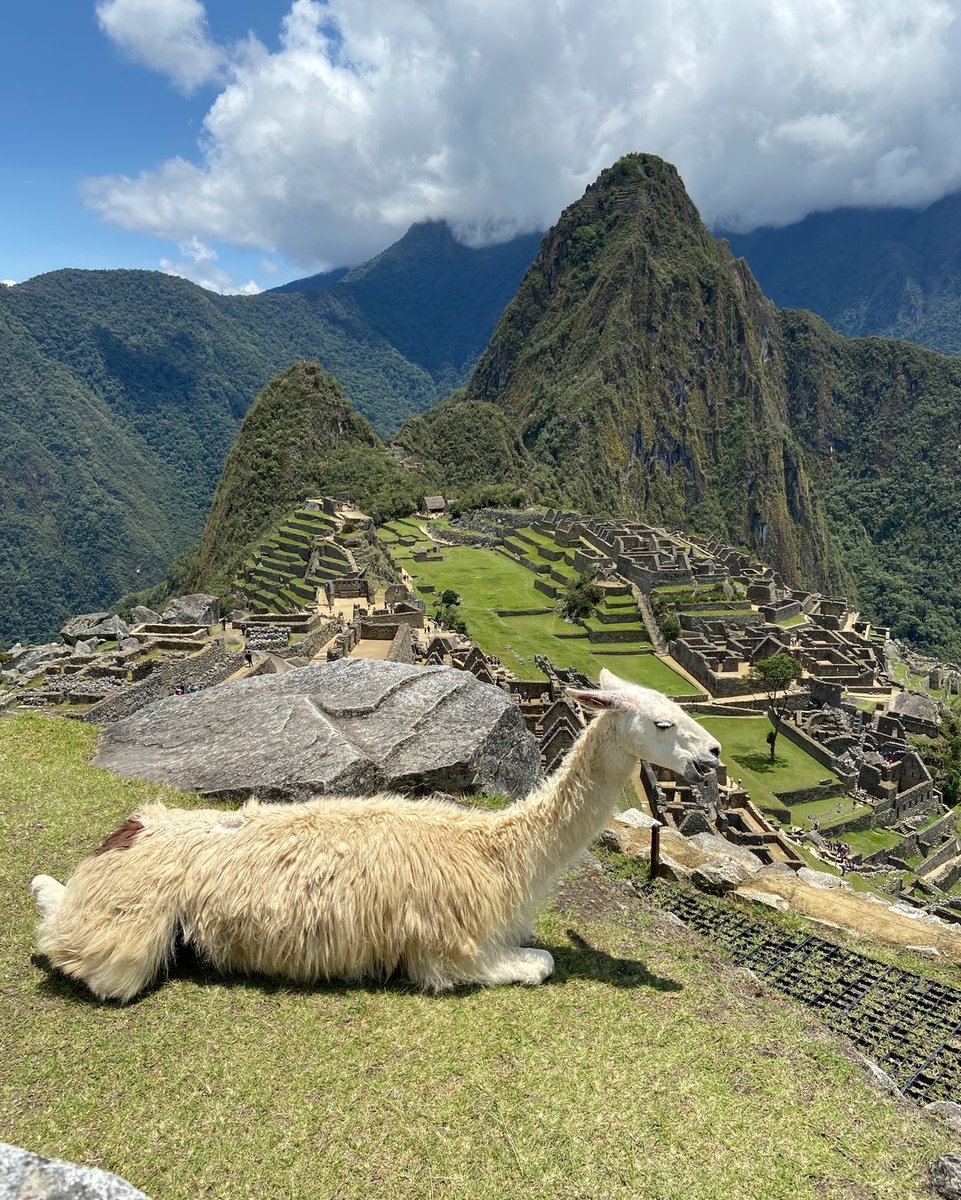 Best of Peru in 5 Days / 4 Nights.🇵🇪😍
Everything you need for an outstanding trip to Peru.
🌐More Info: n9.cl/0pr1w
#sacredvalley #cuscocitytour #machupicchu #natgeo #travelingpost #travelplaces #instaperu #cuscojourneys #peru #cusco #perú #southamerica #travelgoals