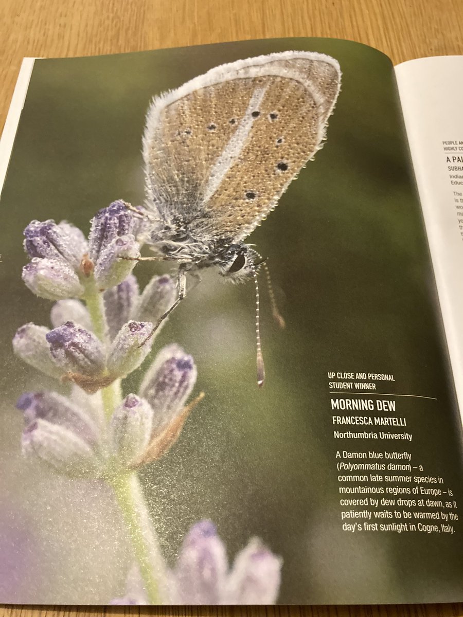Andy Suggitt (@andysuggitt) on Twitter photo Oh look ๐ <a href="/BritishEcolSoc/">British Ecological Society</a>โs Niche magazine has arrived ๐ฌ, & winning the photo competition in the student โup close and personalโ category is <a href="/NUGeog/">Geog & Env Sciences</a>โs very own <a href="/ceschina__/">Francesca Martelli ๐ป</a>, with a wonderful early morning ๐ธ of a Damon blue butterfly (Polyommatus Damon). Well done Francesca! Oh look ๐ <a href="/BritishEcolSoc/">British Ecological Society</a>โs Niche magazine has arrived ๐ฌ, & winning the photo competition in the student โup close and personalโ category is <a href="/NUGeog/">Geog & Env Sciences</a>โs very own <a href="/ceschina__/">Francesca Martelli ๐ป</a>, with a wonderful early morning ๐ธ of a Damon blue butterfly (Polyommatus Damon). Well done Francesca!