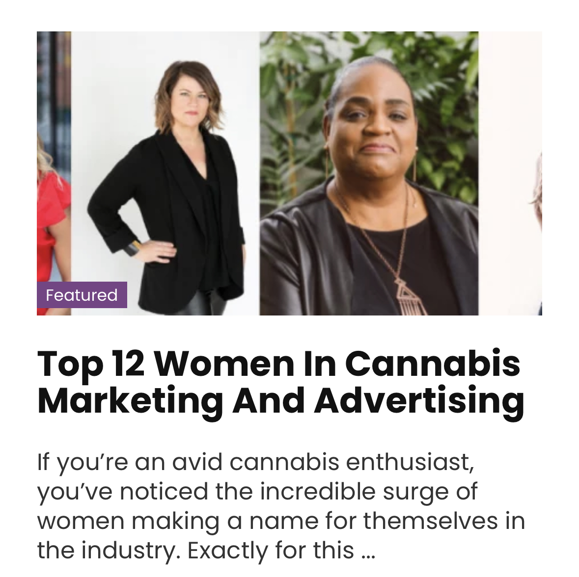 Its #Womenshistorymonth and we're giving flowers to top female trailblazers in Cannabis Marketing and Advertising, including and in no order: <a href="/Libuff/">Elizabeth Prince</a>, <a href="/houseofsalar/">Cynthia Salarizadeh</a>, <a href="/womengrow/">Women Grow</a>, <a href="/RosieMattio/">Rosie Mattio</a>, <a href="/opheliaswims/">Ophelia </a>, <a href="/empax1/">Emily Paxhia</a>, and <a href="/gunsdrugssex/">Amy T. Margolis</a> -to name a few! List: flavorfix.com/featured/top-1…