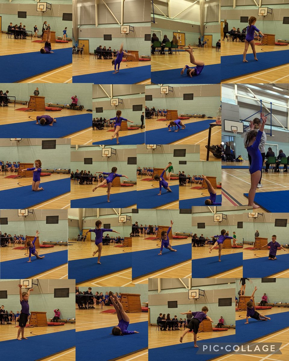 Miss Wren (@cwrswjs) on Twitter photo On Friday, we took 5 Year 3 children to take part in the Key Steps Gymnastics competition at Dowdales School. They performed brilliantly and we are so proud! Well done!
<a href="/swalneyj/">South Walney Juniors</a> On Friday, we took 5 Year 3 children to take part in the Key Steps Gymnastics competition at Dowdales School. They performed brilliantly and we are so proud! Well done!
<a href="/swalneyj/">South Walney Juniors</a>