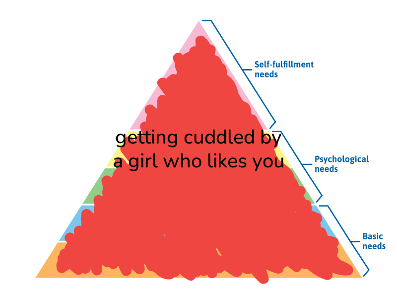 🔺hierarchy of needs🔺 tweet media