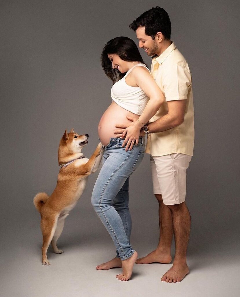 ClubeShiba's tweet photo. Quem mais se emocionou com essa imagem? @simbashibabr 

🧡🦊🧡👶🧡

#clubeshiba https://t.co/glP4kkiToU https://t.co/CWqUQZKj21