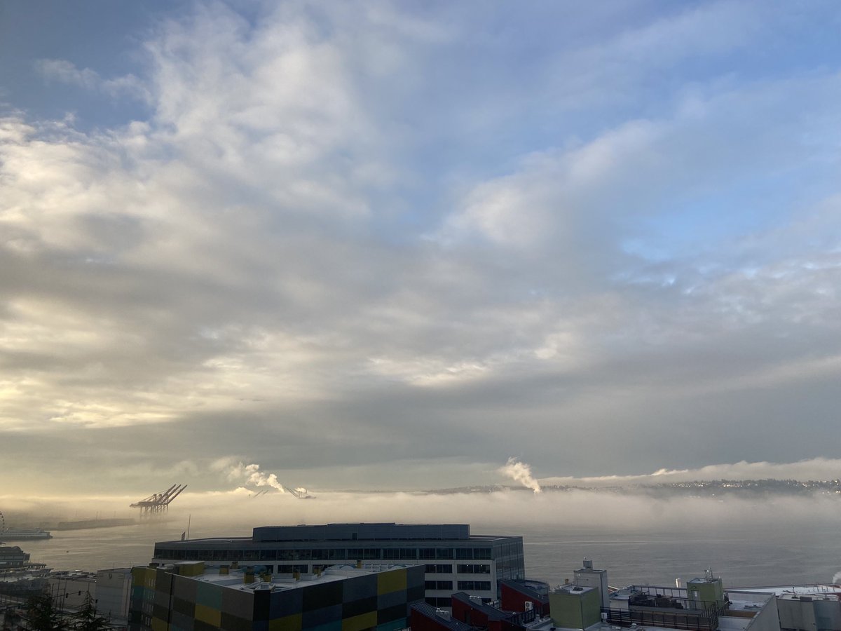 kaysmithblum's tweet image. Foggy morning ⁦@CityofSeattle⁩ who’s writing a whodunnit? #timetowrite #writersinspiration #writersoftwitter