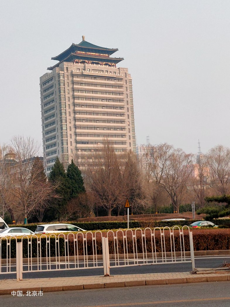 冷若冰（互fo） tweet media