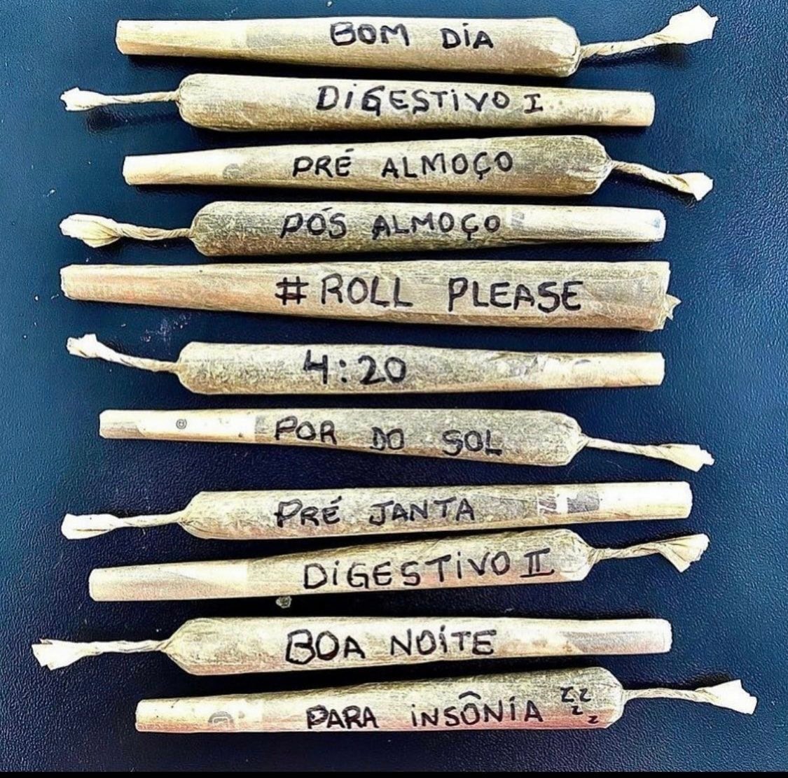 Organizando meu dia