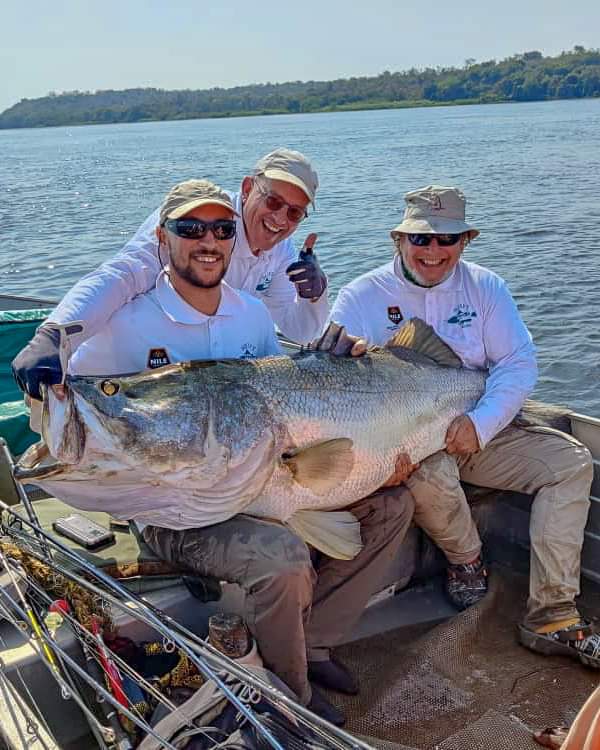 When your 🇨🇭 friend and former colleague Flavio concludes his stay in #Uganda by going to Murchison Falls National Park for a Catch and Release fishing competition and catches the BIG ONE of 71.5kgs on River Nile <a href="/ugwildlife/">Uganda Wildlife Authority</a> #NilePerch what a great catch. Bravi. #Legends